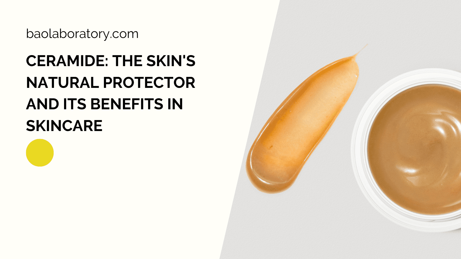 Ceramide The Skins Natural Protector And Its Benefits In Skincare Bao Laboratory 6301